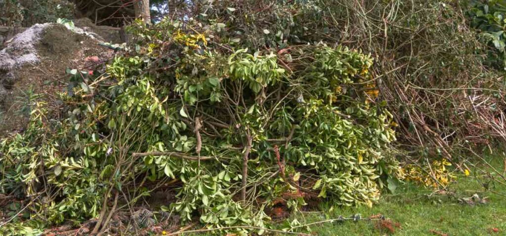 Rastrojos y restos de poda para reciclar.