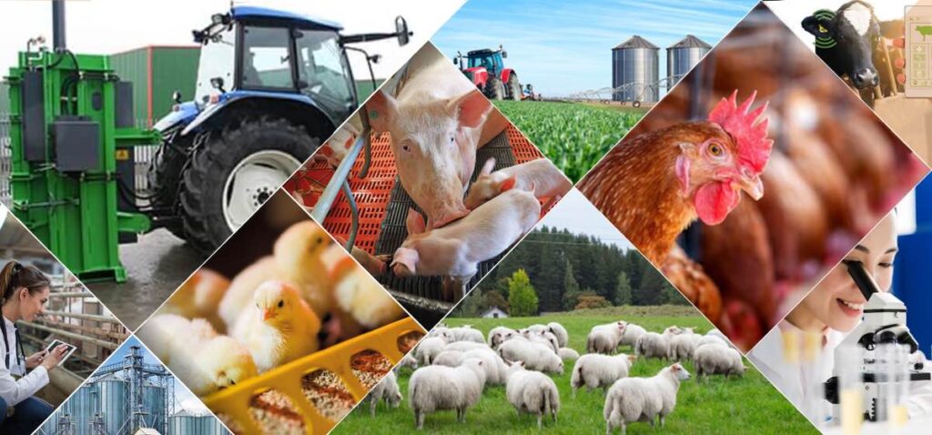 actividades agropecuarias y maquinaria